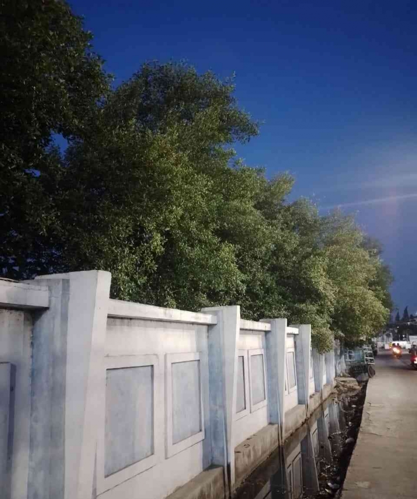 Post Image