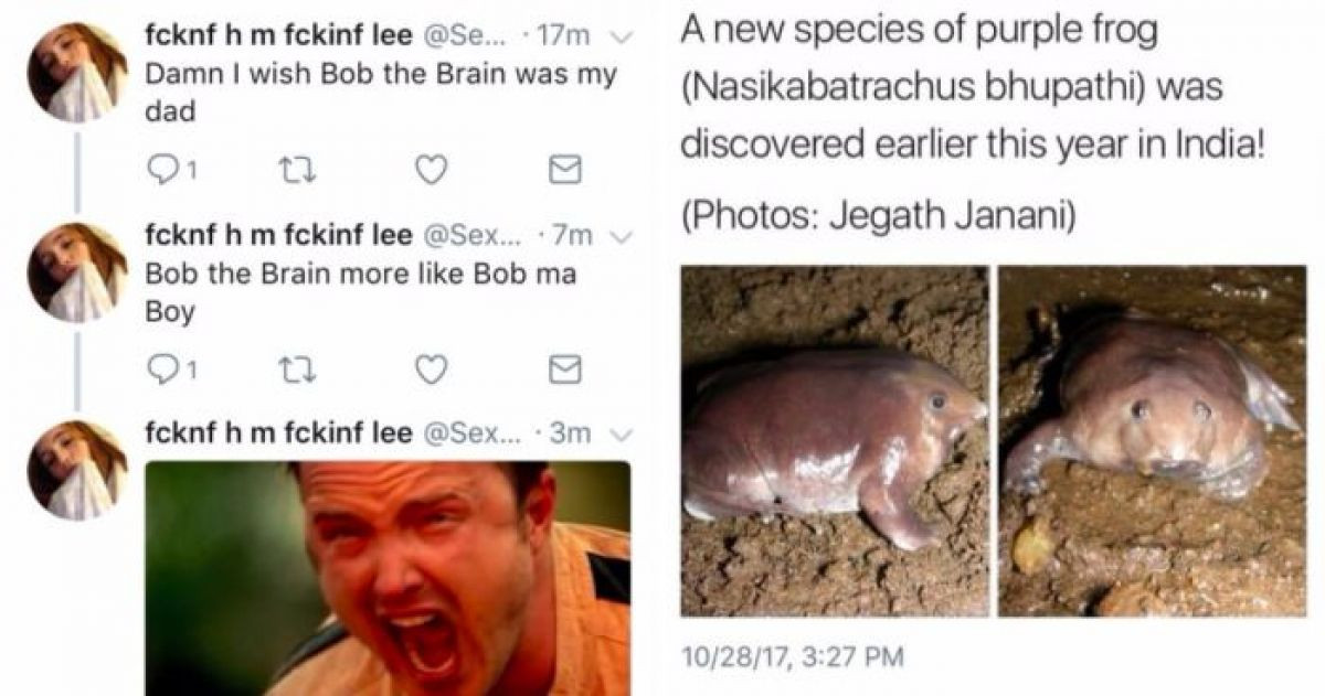 Post Image