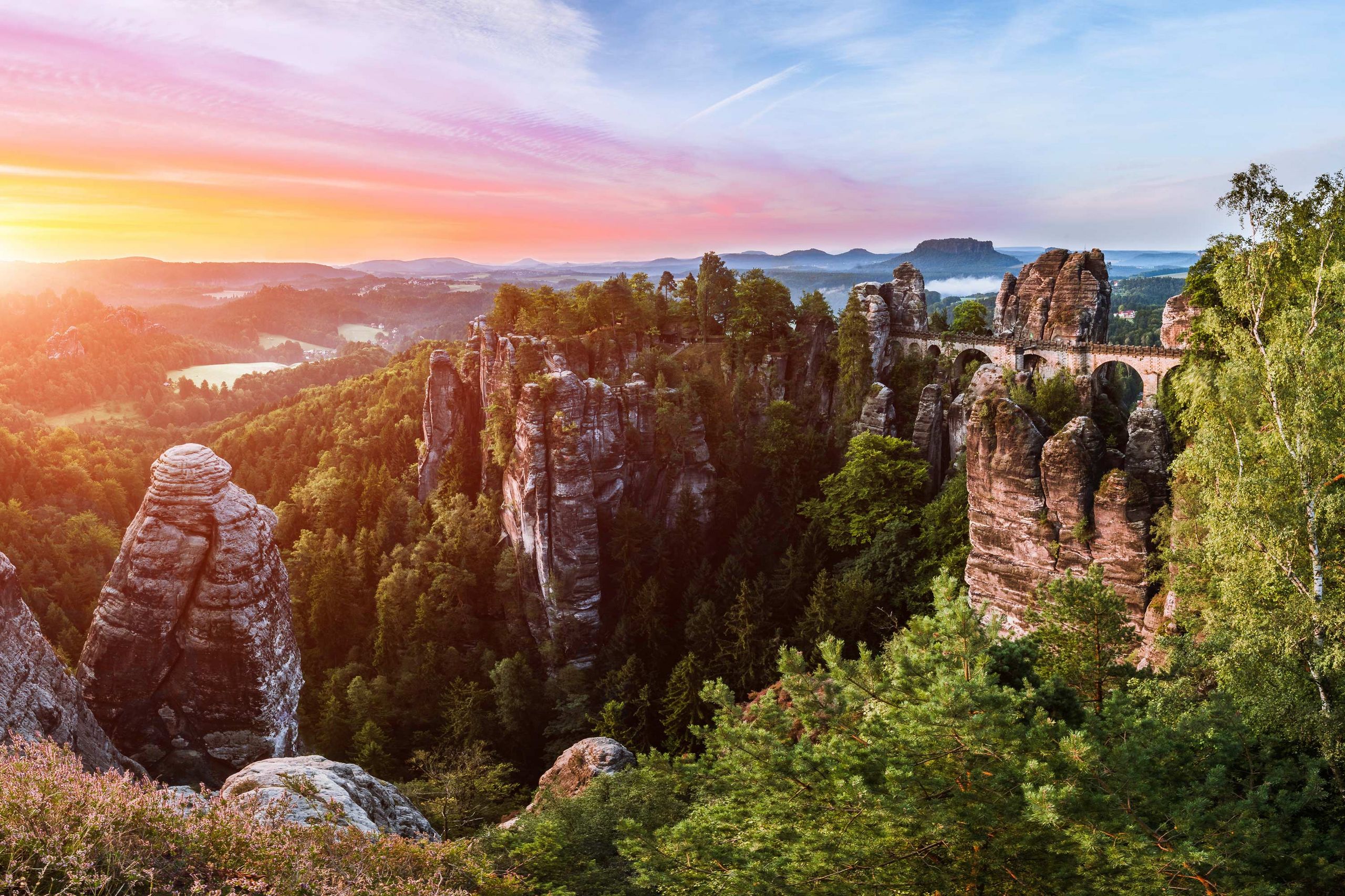 000 Bäume: Aufforstung Im Nationalpark Sächsische Schweiz 000 Bäume: Aufforstung Im Nationalpark Sächsische Schweiz