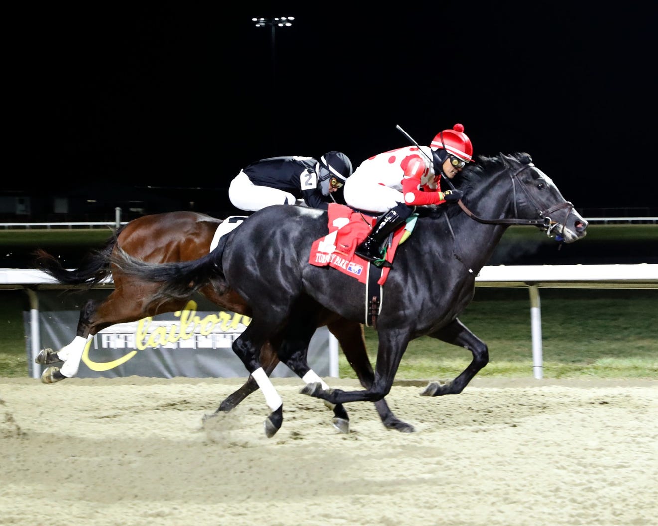 2025 Kentucky Derby: Chunk Of Gold Horse Profile And Betting Odds 2025 Kentucky Derby: Chunk Of Gold Horse Profile And Betting Odds