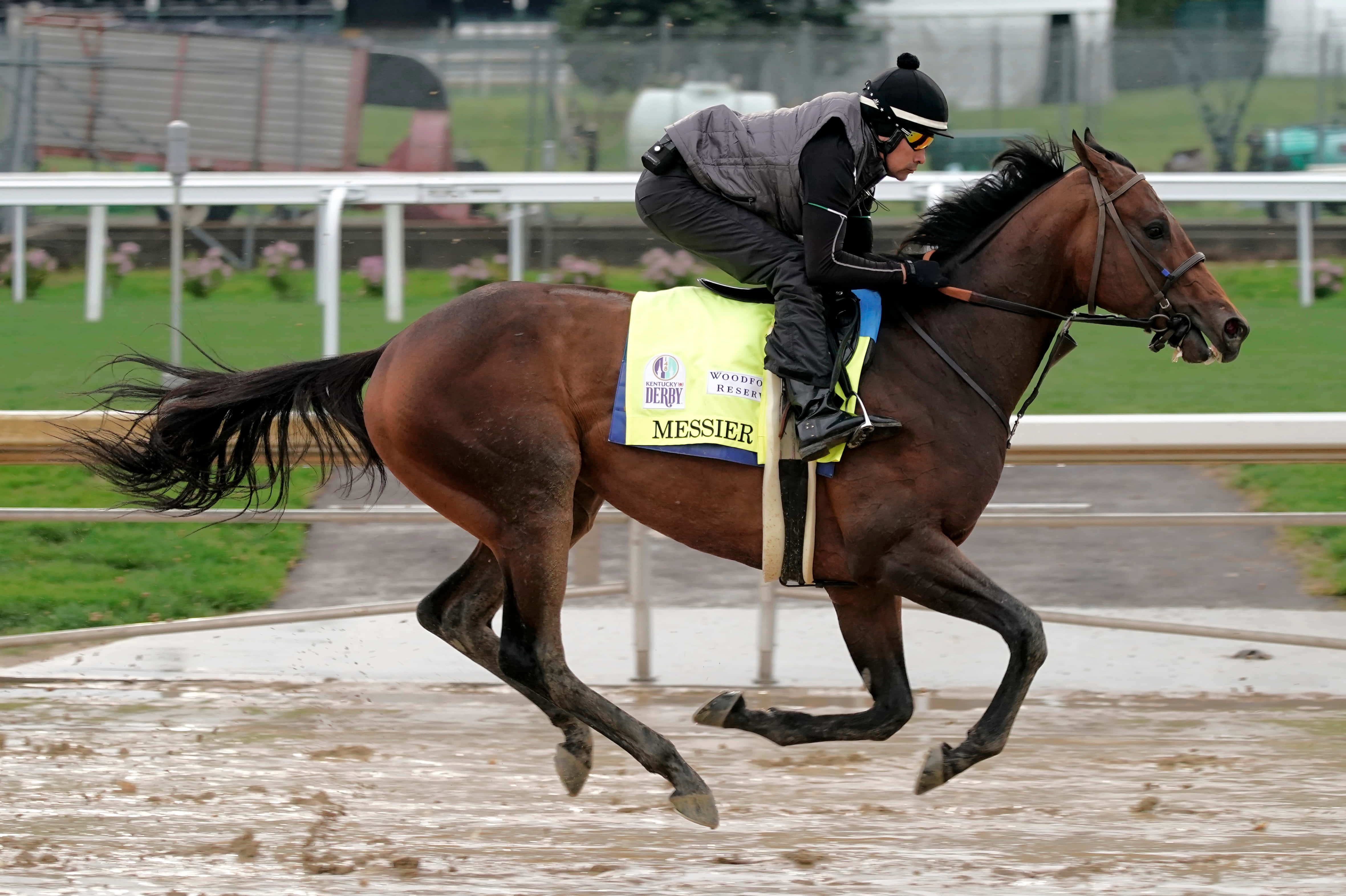 2025 Tampa Bay Derby: A Guide To Odds, Field, And Kentucky Derby Implications 2025 Tampa Bay Derby: A Guide To Odds, Field, And Kentucky Derby Implications