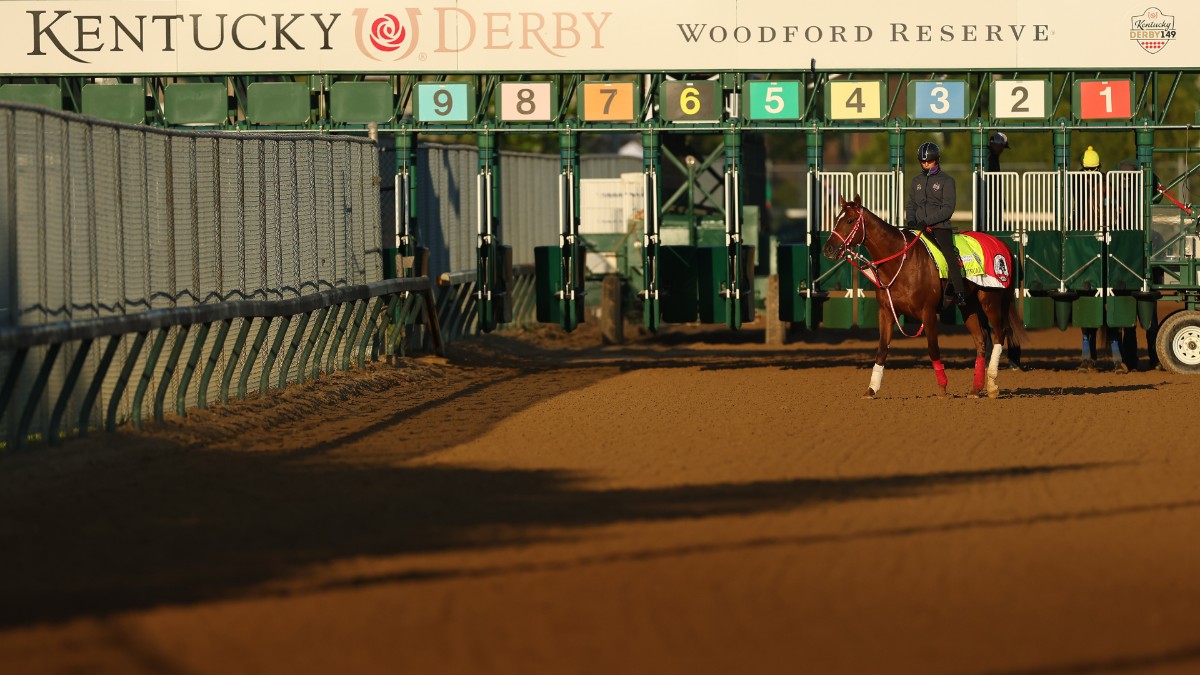 2025 Tampa Bay Derby: Odds, Field Analysis & Kentucky Derby Picks 2025 Tampa Bay Derby: Odds, Field Analysis & Kentucky Derby Picks