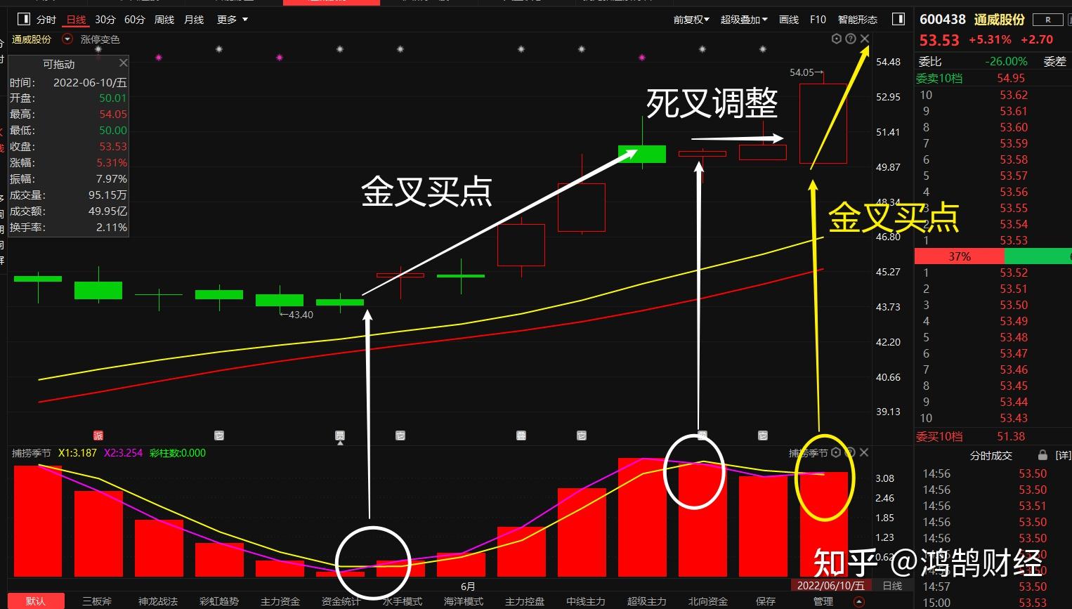 通威股份3月6日与巴基斯坦合作:股价影响深度分析报告 通威股份3月6日与巴基斯坦合作:股价影响深度分析报告