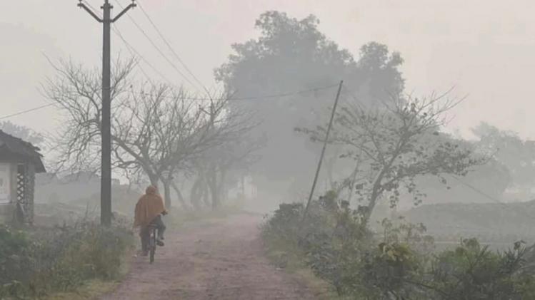 38°C Heatwave Sweeps South Bengal On Holi: Weather Update 38°C Heatwave Sweeps South Bengal On Holi: Weather Update
