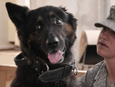 5 Must-See Military Movies: A Perfect Mix Of Action And Heart 5 Must-See Military Movies: A Perfect Mix Of Action And Heart