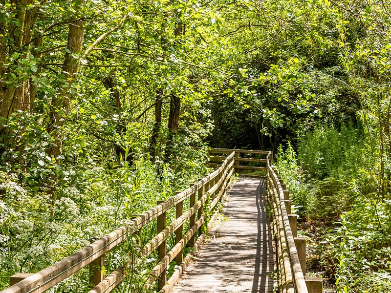 A Tourist's Guide To Wrexham, Wales A Tourist's Guide To Wrexham, Wales