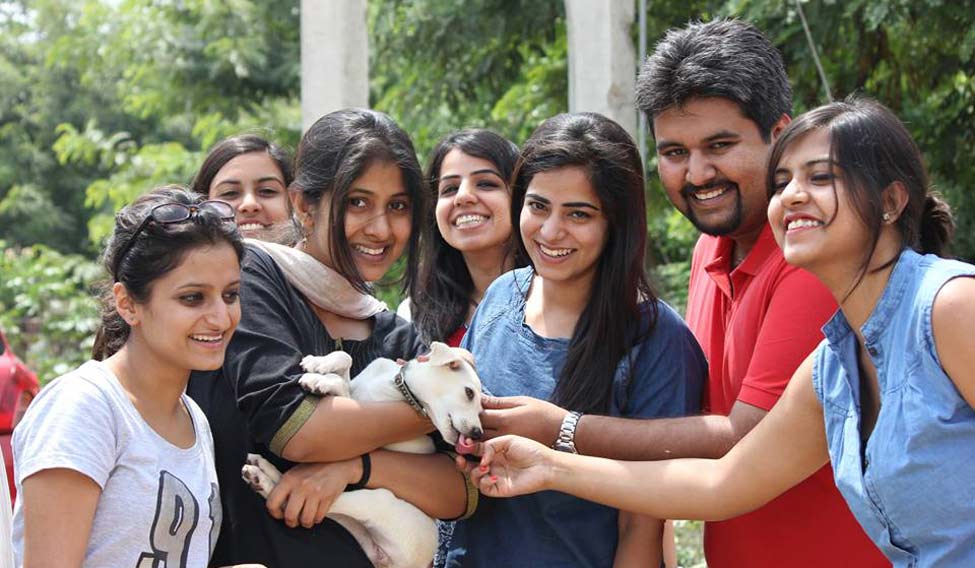 Accessing Uber's Expanded Pet Services In Delhi And Mumbai Accessing Uber's Expanded Pet Services In Delhi And Mumbai