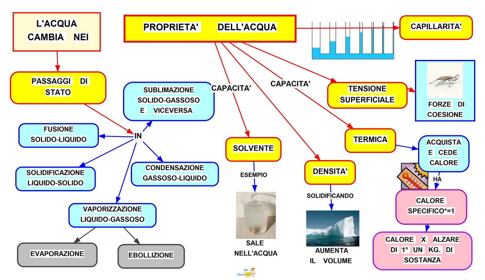 Acqua E Microplastiche: Una Mappa Dell'inquinamento Acqua E Microplastiche: Una Mappa Dell'inquinamento