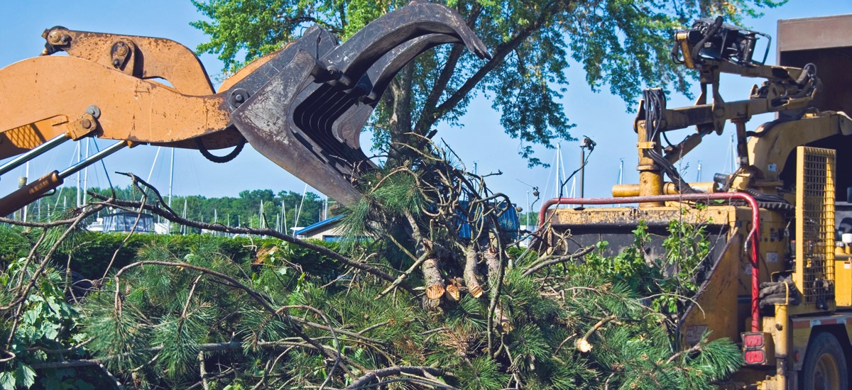 After The Storm: Louisville's Debris Removal And Pickup Service After The Storm: Louisville's Debris Removal And Pickup Service