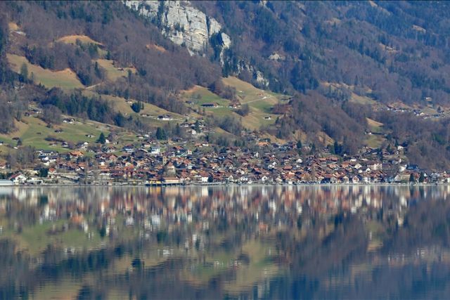 Airlift Success: 96 Cows Evacuated From Flood-Affected Swiss Village Airlift Success: 96 Cows Evacuated From Flood-Affected Swiss Village