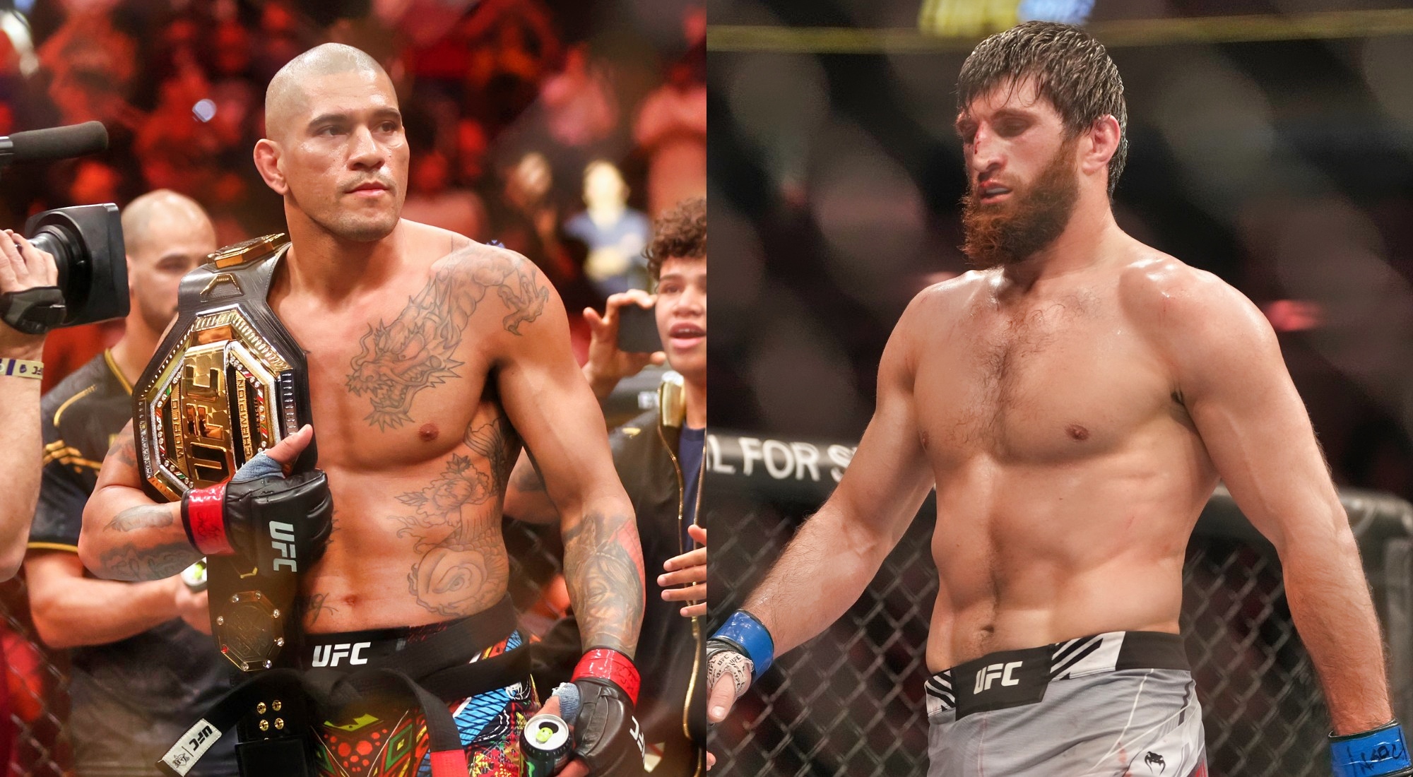 Alex Pereira Vs Magomed Ankalaev: UFC 313 DFS Preview & Expert Picks Alex Pereira Vs Magomed Ankalaev: UFC 313 DFS Preview & Expert Picks