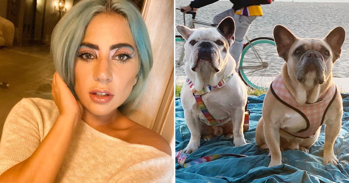 Alleged Lady Gaga Bomb Plot: Satanic Ritual And Child Killing Planned, Say Brazilian Police Alleged Lady Gaga Bomb Plot: Satanic Ritual And Child Killing Planned, Say Brazilian Police