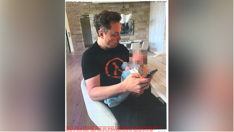 Amber Heard's Twins And The Elon Musk Paternity Claim: Fact Or Fiction?