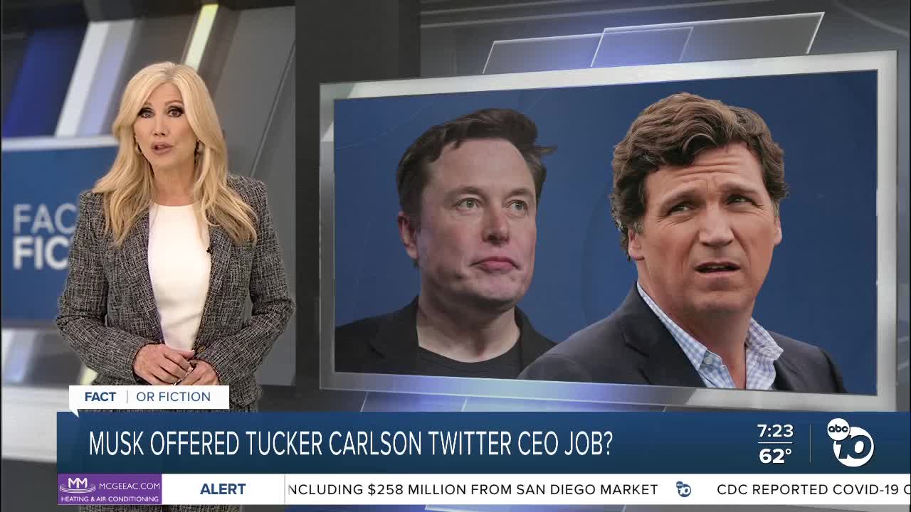 Amber Heard's Twins: Separating Fact From Fiction Regarding Elon Musk's Involvement Amber Heard's Twins: Separating Fact From Fiction Regarding Elon Musk's Involvement