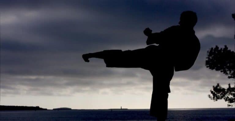 Analyzing The Themes And Success Of The Karate Kid Analyzing The Themes And Success Of The Karate Kid