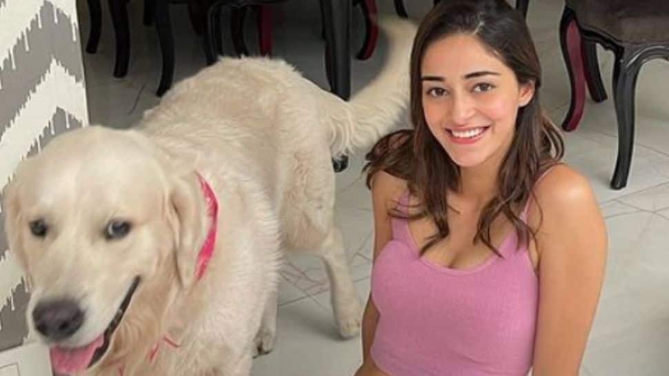 Ananya Panday Celebrates Pet Dog Riot's First Birthday Ananya Panday Celebrates Pet Dog Riot's First Birthday