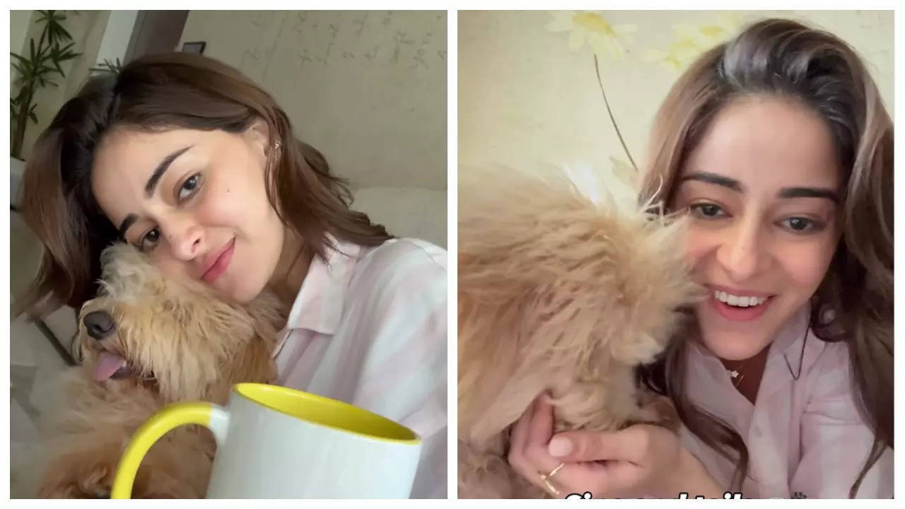 Ananya Panday's Dog Riot Turns One: A Paw-some Birthday Celebration Ananya Panday's Dog Riot Turns One: A Paw-some Birthday Celebration
