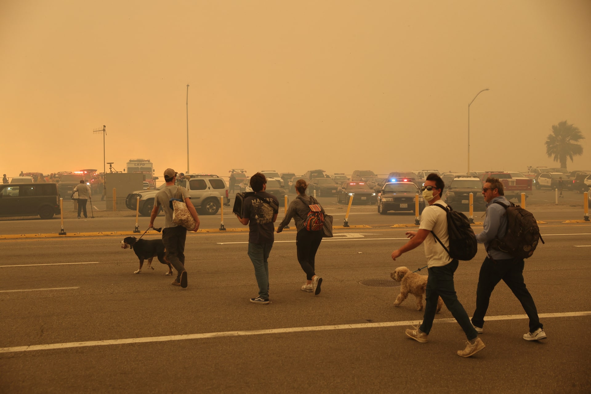 Are Los Angeles Wildfires Becoming A Gambling Opportunity? Are Los Angeles Wildfires Becoming A Gambling Opportunity?