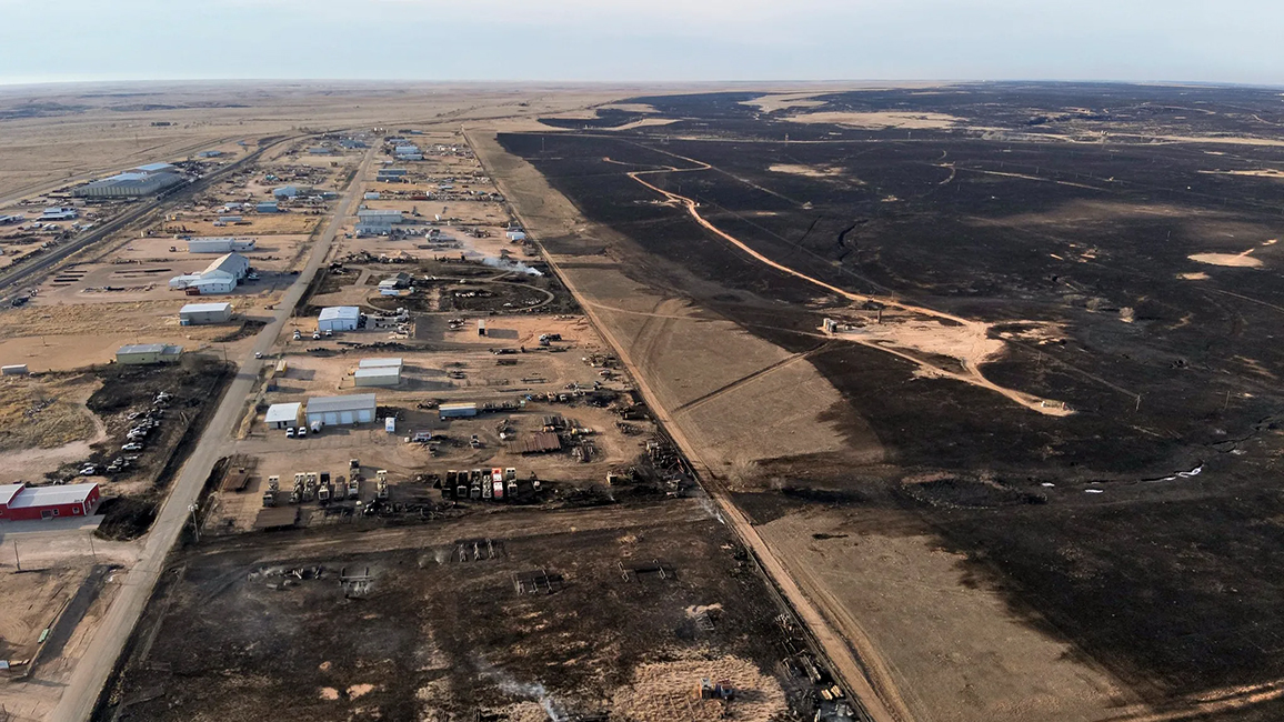 Beauty From The Ashes: Texas Panhandle's Wildfire Recovery One Year On Beauty From The Ashes: Texas Panhandle's Wildfire Recovery One Year On