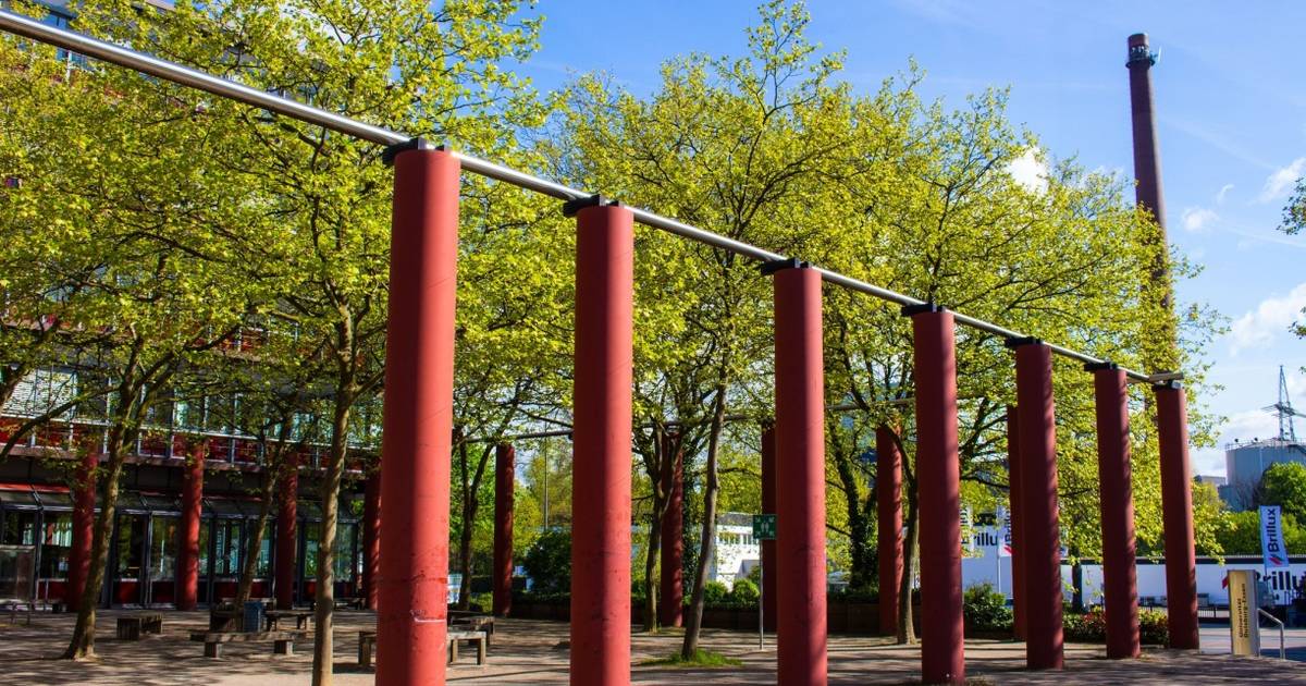 Bestechungsskandal Uni Duisburg-Essen: Mitarbeiterin Legt Geständnis Ab Bestechungsskandal Uni Duisburg-Essen: Mitarbeiterin Legt Geständnis Ab