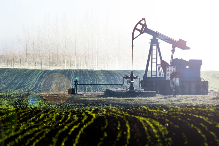 Big Oil Defies Pressure: Production Remains Unchanged Before OPEC+ Big Oil Defies Pressure: Production Remains Unchanged Before OPEC+