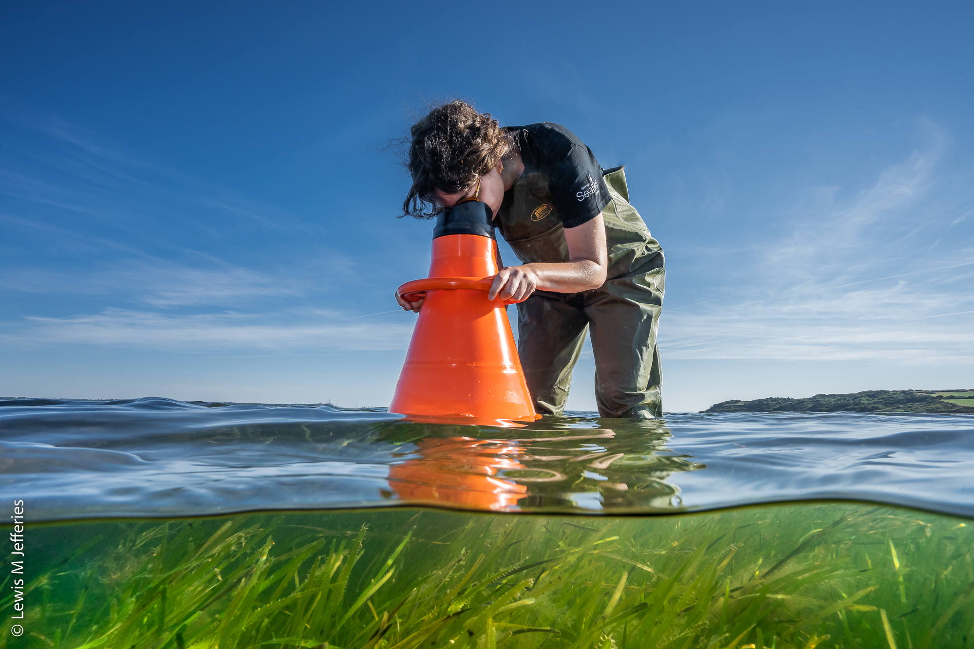 Boosting Scotland's Coastal Ecosystems: Seagrass Restoration Bids Boosting Scotland's Coastal Ecosystems: Seagrass Restoration Bids