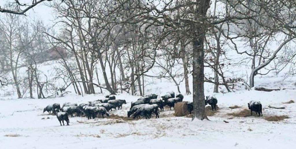 Brace For Impact: Four+ Inches Of Snow And Bitter Cold Coming Tuesday Brace For Impact: Four+ Inches Of Snow And Bitter Cold Coming Tuesday