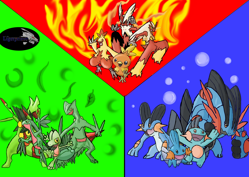 Building The Hoenn Starters: A LEGO Pokemon Project Building The Hoenn Starters: A LEGO Pokemon Project