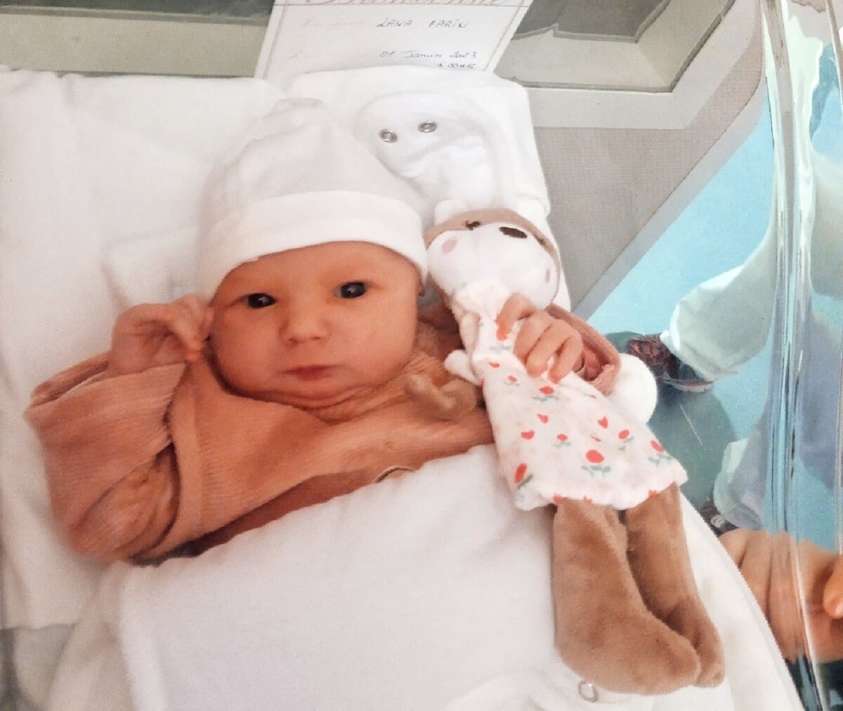 Cadeau Gourmand : Une Boulangerie Normande Récompense Le Premier Bébé De L'année Cadeau Gourmand : Une Boulangerie Normande Récompense Le Premier Bébé De L'année