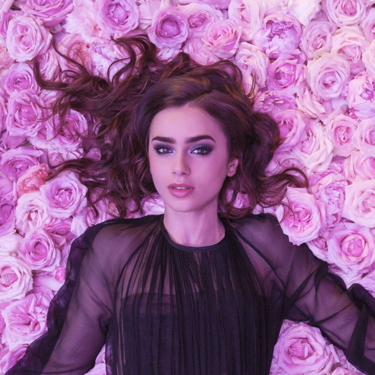 Calvin Klein's New Campaign Featuring Lily Collins: Photo Gallery Calvin Klein's New Campaign Featuring Lily Collins: Photo Gallery