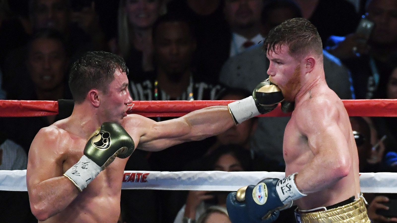 Canelo Alvarez Vs. Gennady Golovkin Live Stream: Fight Results And Highlights Canelo Alvarez Vs. Gennady Golovkin Live Stream: Fight Results And Highlights