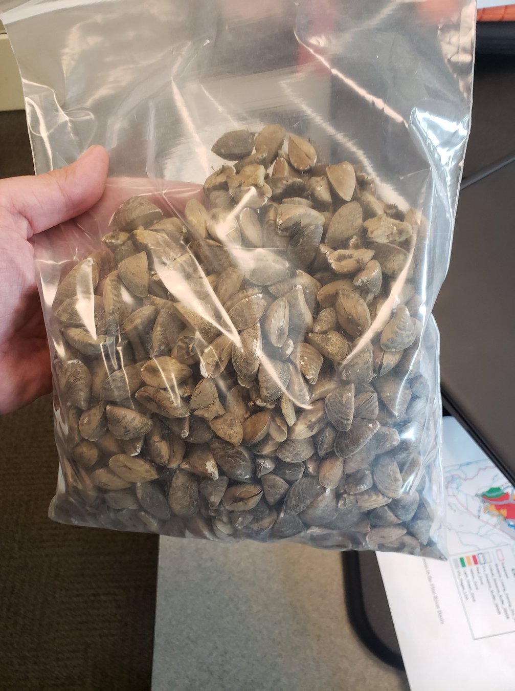 Casper Resident's Boat Lift: Thousands Of Zebra Mussels Found Casper Resident's Boat Lift: Thousands Of Zebra Mussels Found