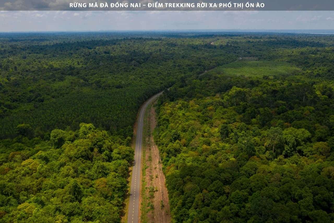 Cầu Mã Đà Nối Đồng Nai Và Bình Phước: Khởi Công Tháng 6/2024 Cầu Mã Đà Nối Đồng Nai Và Bình Phước: Khởi Công Tháng 6/2024