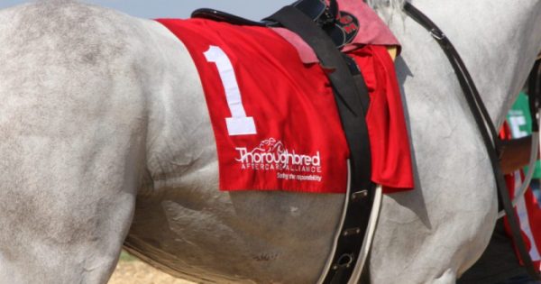 Colonial Downs: Virginia Derby Announcement By Stone Colonial Downs: Virginia Derby Announcement By Stone