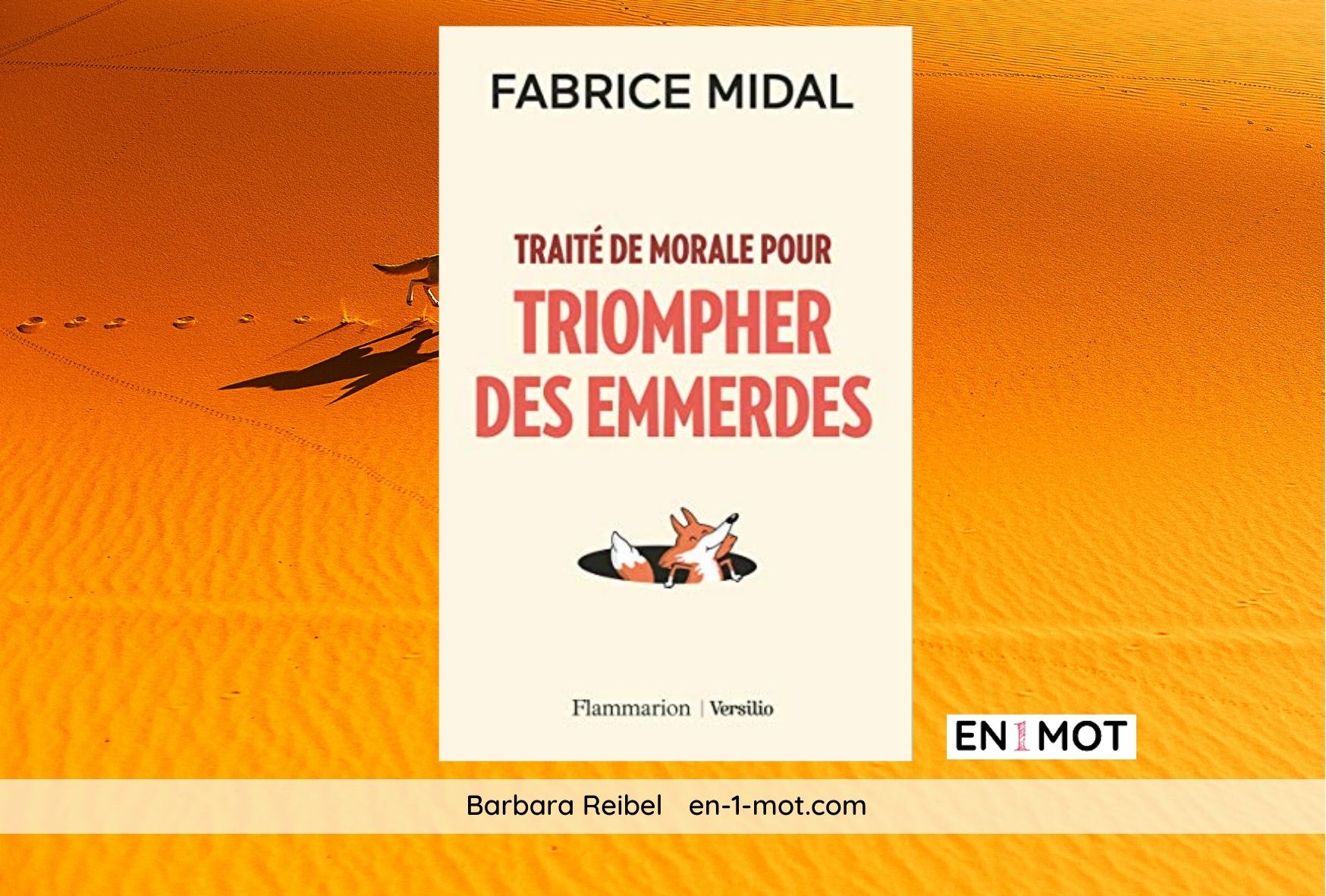 Comment José Aldo A Appris À S'Adapter Pour Triompher Comment José Aldo A Appris À S'Adapter Pour Triompher