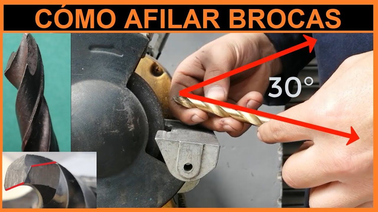 Cómo Evitar Las Estupideces Del Tonto: Guía Práctica Para Afilar La Guillotina Cómo Evitar Las Estupideces Del Tonto: Guía Práctica Para Afilar La Guillotina