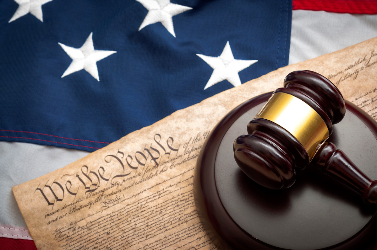 Competition Bureau's Constitutional Case Against Google: Key Issues Competition Bureau's Constitutional Case Against Google: Key Issues