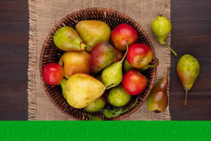 Competition Heats Up: South Africa's Apple Exports Top New Zealand's Competition Heats Up: South Africa's Apple Exports Top New Zealand's