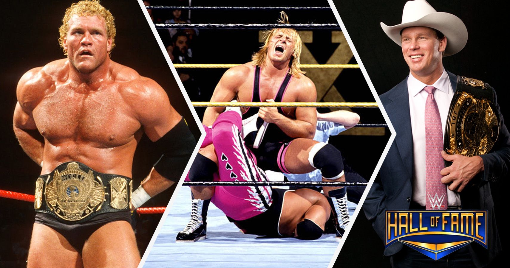 Complete List Of Celebrities Inducted Into The WWE Hall Of Fame Complete List Of Celebrities Inducted Into The WWE Hall Of Fame