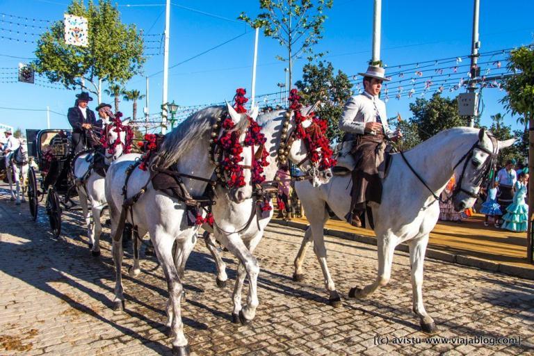 Cosas Que Hacer En Sevilla Este Miércoles 7 De Mayo De 2025 Cosas Que Hacer En Sevilla Este Miércoles 7 De Mayo De 2025
