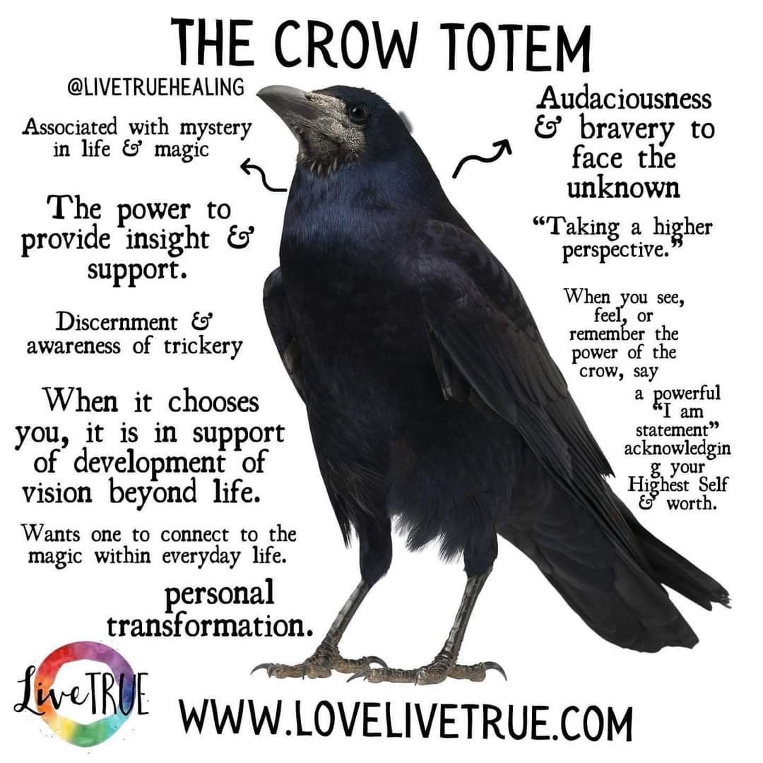 Counting Crows: Unpacking The Meaning Behind Counting Crows: Unpacking The Meaning Behind
