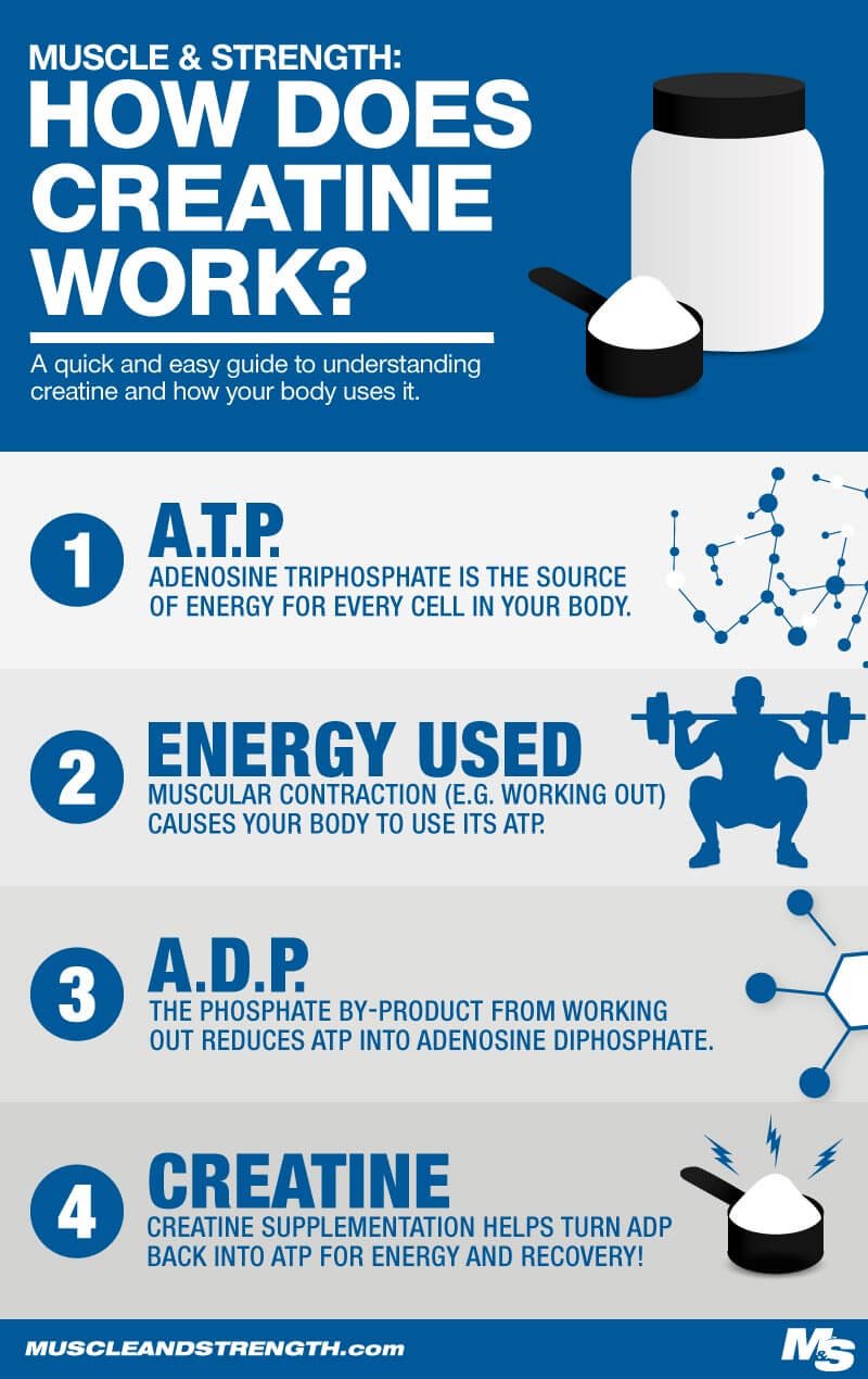 Creatine 101: Benefits, Risks, And Dosage Creatine 101: Benefits, Risks, And Dosage