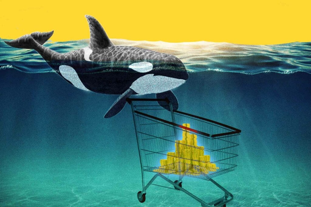 Crypto Whales Target Crypto Whales Target