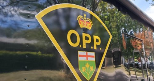 Dalfsen Amber Alert: Parents Arrested After Children Rescued Dalfsen Amber Alert: Parents Arrested After Children Rescued