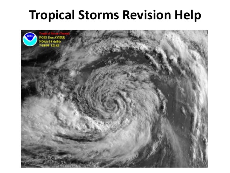 Damaging Winds And Fast-Moving Storms: A Guide To Protection Damaging Winds And Fast-Moving Storms: A Guide To Protection