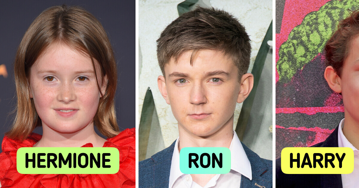 David Tennant And The Max Harry Potter Series: A Look At His Potential Return David Tennant And The Max Harry Potter Series: A Look At His Potential Return