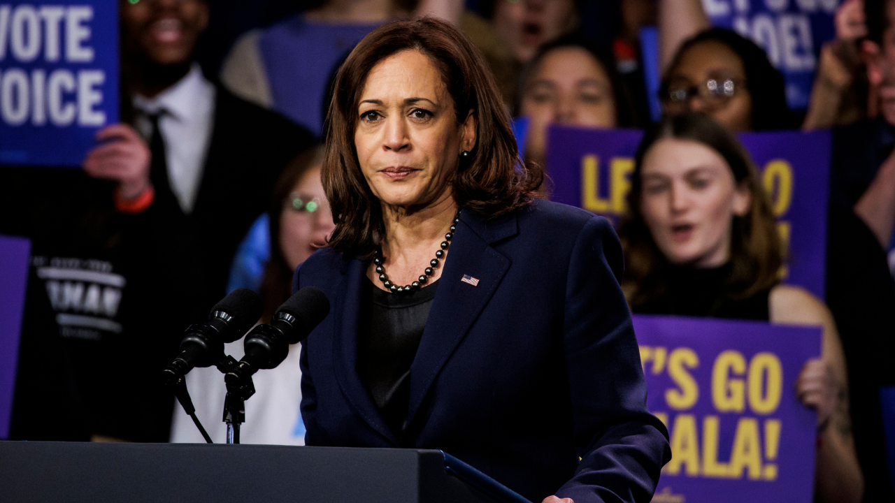 Democratic Insiders Criticize Kamala Harris' Post-Election Absence