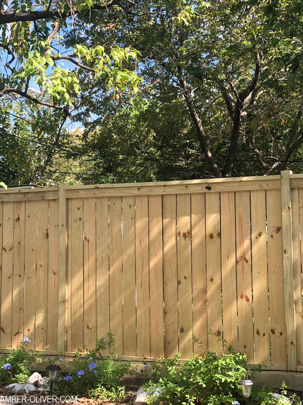 Design And Build Your Own Living Fence Design And Build Your Own Living Fence