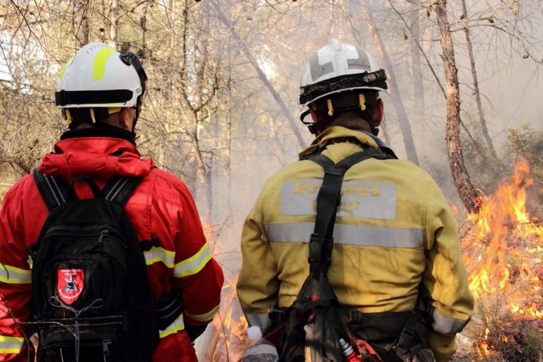 Devastating Wildfires Threaten UK's Endangered Species Devastating Wildfires Threaten UK's Endangered Species