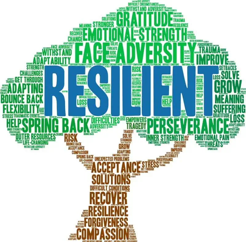 Developing Resilience & Mental Health: Strategies For Well-being Developing Resilience & Mental Health: Strategies For Well-being